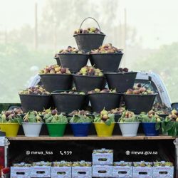 “فيفا” يعلن إطلاق عملية بيع تذاكر كأس العالم 2026