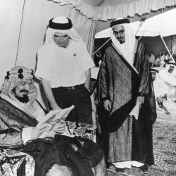 القيادة الإماراتية تهنئ خادم الحرمين الشريفين وسمو ولي العهد بمناسبة اليوم الوطني الـ(95)