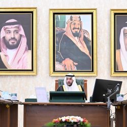 نيابة عن خادم الحرمين الشريفين.. سمو ولي العهد يتسلم أوراق اعتماد سفراء عدد من الدول الشقيقة والصديقة المعينين لدى المملكة