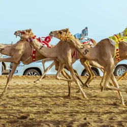 المملكة وباكستان توقّعان اتفاقية في مجال خدمات النقل الجوي