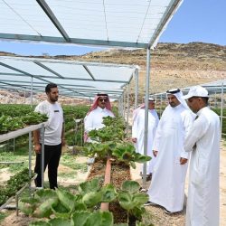 مايكروسوفت: انقطاعات في كابلات بالبحر الأحمر قد تؤثر في خدمة (أزور)