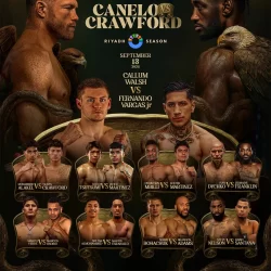 مشروع مركز الملك سلمان للإغاثة “مسام” ينزع 968 لغمًا من الأراضي اليمنية خلال أسبوع