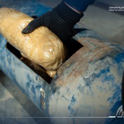 بيوميريو (bioMérieux) تعلن مشاركتها في المعرض العالمي للصحة 2025 بالرياض لتعزيز تحول الرعاية الصحية في المملكة