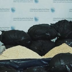 “تعليم مكة” يشارك بـ 12 جناحًا في مهرجان “الرياضيات لغة العلوم”