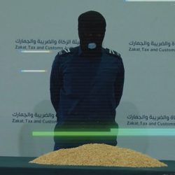 وزارتا “الموارد البشرية” و”الصحة” تعلنان بدء تطبيق المرحلة الثانية لقرار رفع نسب التوطين لأربع مهن صحية في القطاع الخاص