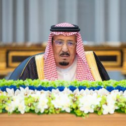 تنفيذ حُكم القتل تعزيرًا بأحد الجناة في مكة لتهريبه الميثامفيتامين المخدر إلى المملكة