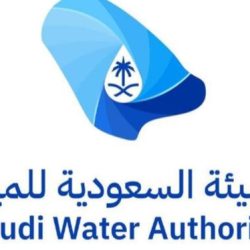 الأرصاد: هطول أمطار رعدية مصحوبة بزخات من البرد على هذه المناطق