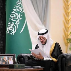 “الغطاء النباتي” يشارك في المبادرة التركية ((CLI باسطنبول حول إدارة حرائق الغابات