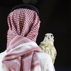 الحملات الميدانية المشتركة تضبط (21403) مخالفين لأنظمة الإقامة والعمل وأمن الحدود في مناطق المملكة خلال أسبوع