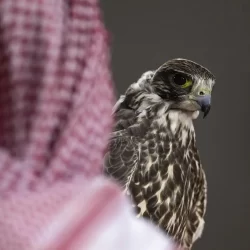 توافد جماهيري كثيف في معرض الرياض الدولي للكتاب 2025