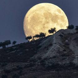 الهيئة العامة للعناية بشؤون الحرمين تدعو ضيوف الرحمن لأخذ لقاح الإنفلونزا الموسمية