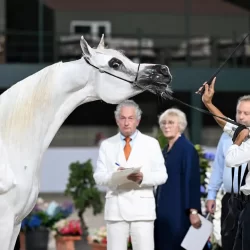 مُحافظ جدة يستقبل وكيل وزارة الصناعة والثروة المعدنية للإشراف على العمليات التعدينية