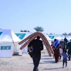 “زاتكا” تُحبط محاولتي تهريب أكثر من 52 ألف حبة من الإمفيتامين المخدر وأكثر من 3 كيلوغرامات من “الكوكايين”