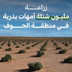 الفرق الطبية تواصل تنفيذ حملة التطعيم ضد الإنفلونزا بالنعيرية