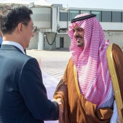 ضبط (21651) مخالفًا لأنظمة الإقامة والعمل وأمن الحدود في مناطق المملكة خلال أسبوع