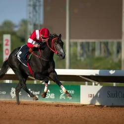 الأرصاد: الفرصة مهيأة لهطول أمطار رعدية مصحوبة وزخات من البرد على هذه المناطق