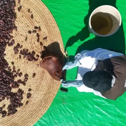 الحرف الدولية في “بنان” تفتح آفاقًا جديدة في السوق المحلي عبر تبادل الخبرات