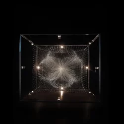 الاتحاد يضرب بثلاثية في الشارقة ويعود بقوة إلى المنافسة الآسيوية