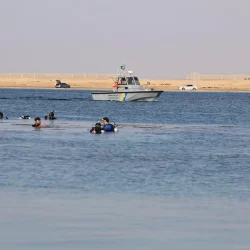 منصة “نت زيرو” تحصد المركز الأول في فئة التكنولوجيا الخضراء ضمن جوائز قمة G20 Startup20 بجنوب أفريقيا 2025