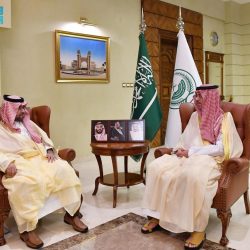 المرور السعودي يكشف عن أبرز (3) مسببات للحوادث المرورية في منطقة حائل