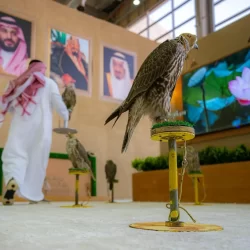 استعراض لرحلة البن الشدوي في جناح إمارة الباحة بمهرجان الملك عبدالعزيز للإبل