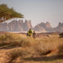 وزارة الصناعة والثروة المعدنية تستعرض الممكنات والبرامج لدعم المصانع بنجران