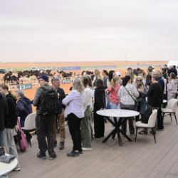 جامعة أم القرى تعلن فتح القبول في (55) برنامجًا للدراسات العليا للعام الجامعي 1448هـ