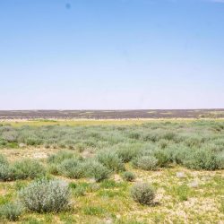 الجاسر يقف على حركة السفر وسير العمليات التشغيلية في مطار الملك خالد الدولي بالرياض