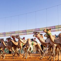 مؤشر سوق الأسهم السعودية يغلق مرتفعًا عند مستوى 10484.59 نقطة