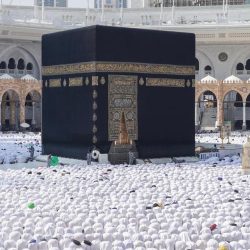 لجنة الانضباط والأخلاق تصدر عددًا من القرارات بحق أندية الاتحاد والبيرق وعرعر ونجران