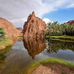 مدرب المنتخب السعودي يثمّن أداء اللاعبين ويشيد بمستوى المنتخب الفلسطيني