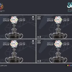 درة حلي وجمال التنظيم