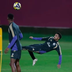 المها العربي.. يتكاثر ويثري الحياة الفطرية في محمية الملك سلمان بن عبدالعزيز الملكية