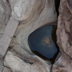 جائزة الملك عبدالعزيز لسباقات الهجن تعلن أسماء الفائزين بالمراكز الأولى لفئة اللقايا