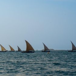 وقاء مكة يعزّز الوعي حول مقاومة مضادات الميكروبات عبر ورشة توعوية بجدة