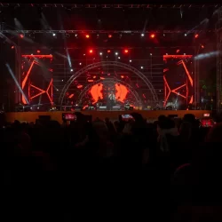 محمية الملك سلمان الملكية: تحسّن الغطاء النباتي يصنع التأثير الإيجابي على الكائنات الفطرية