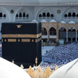 ختام تنافسي مميز لبطولة المملكة التأهيلية للتايكوندو بالطائف