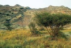 يوسف.. ندَى الثقة ورفيقُ الموهبة