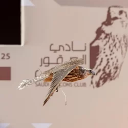 الاتحاد يقسو على الشباب ويقفز إلى المركز السادس في الدوري