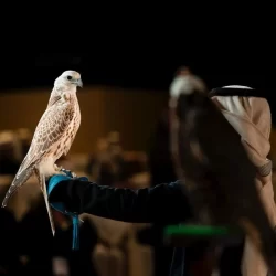 معالي وزير السياحة يزور موسم الدرعية 26/25 ويشيد بتجاربه المتنوعة