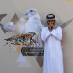 وزير المالية يعتمد خطة الاقتراض السنوية للعام المالي 2026م