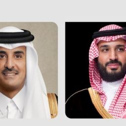 الحكومة الرقمية في خلال 2025: عام ترسيخ النضج وتعظيم الأثر