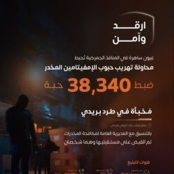 ضمن استعدادات المملكة لاستضافة كأس العالم 2034 .. “السعودية للكهرباء” تعزّز جاهزية البنية التحتية للطاقة لملعب أرامكو