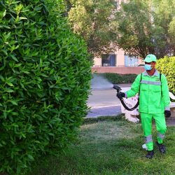 قرية أتاريك العالمية تحتفي بحرفة النقش على الخشب ضمن فعاليات شتاء مكة المكرمة