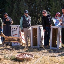 الإدارة العامة للمرور تتيح شراء اللوحات المميزة إلكترونيًا بالكامل