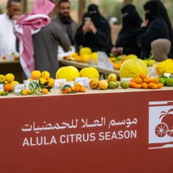الجوازات تنهي إجراءات سفر السياح القادمين من جزيرة سقطرى