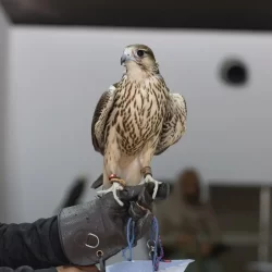 الأرصاد: سحب رعدية ممطرة مصحوبة برياح نشطة على هذه المناطق