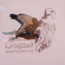 الأهلي يفوز على النصر بثلاثية في كلاسيكو دوري روشن