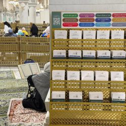 أمانة العاصمة المقدسة تنفّذ مبادرة “شتاء مكة المُزهر”