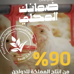 الشؤون النسائية بالمسجد الحرام تكثّف جهودها التوعوية لإثراء تجربة القاصدات وتعزيز الرسالة الدينية